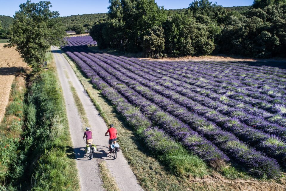 Luberon Monts de Vaucluse