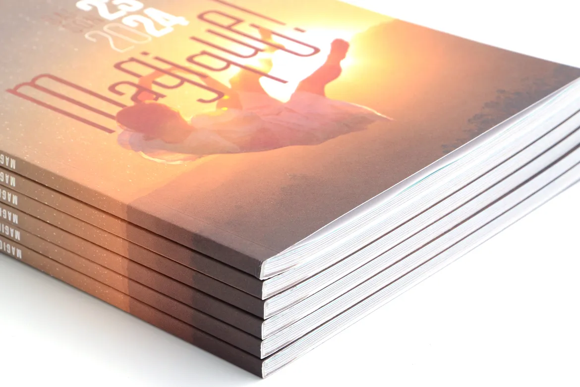 IMPRIMERIE RIMBAUD - GROUPE PICOURT