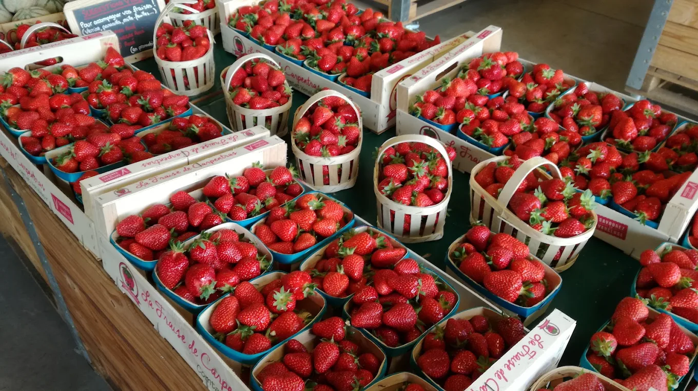 La halle des producteurs