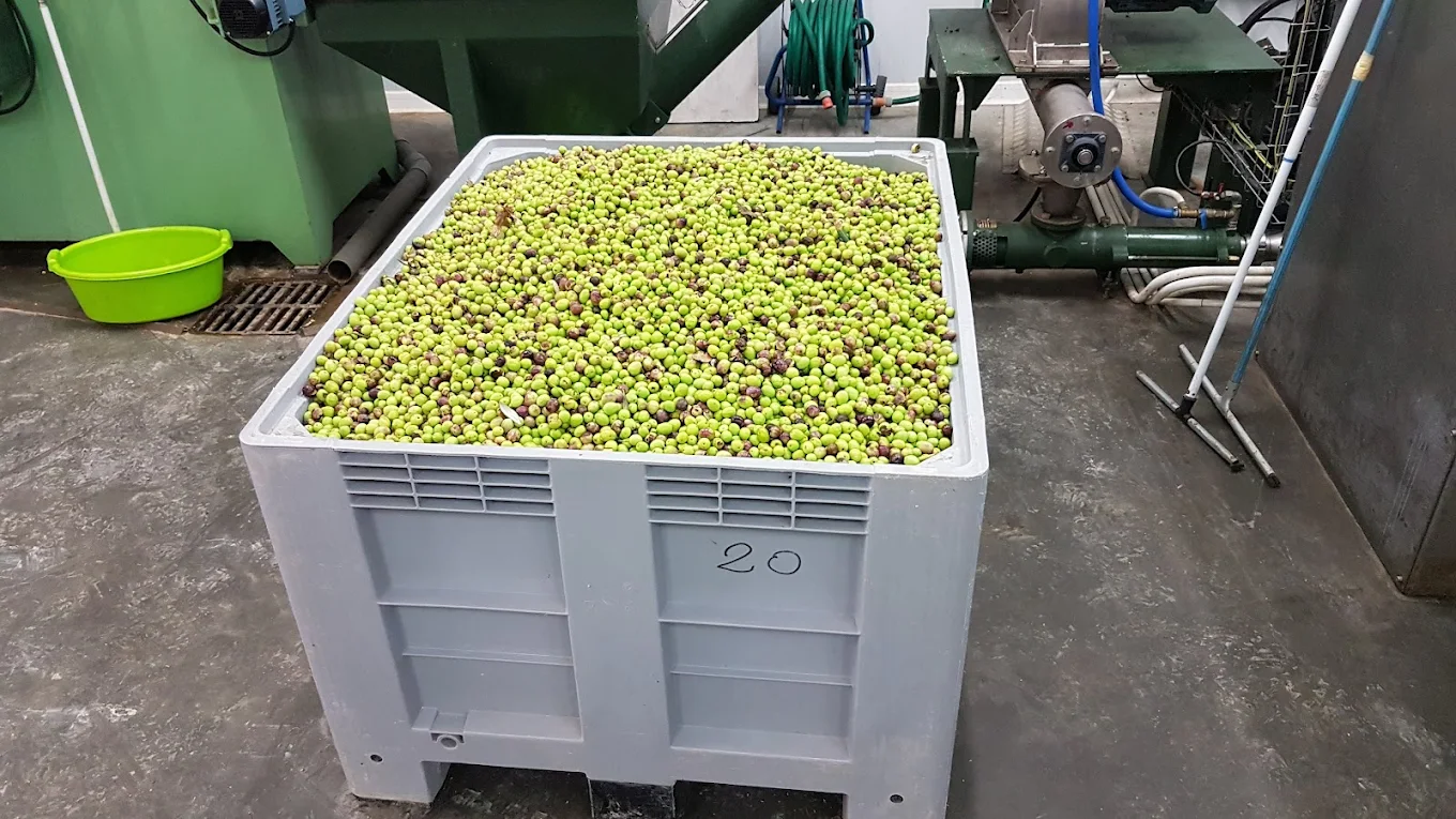 Moulin A Huile Du Colorado De Rustrel