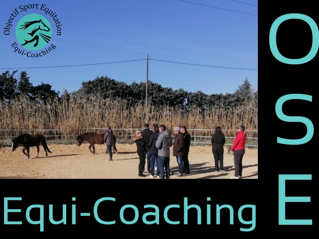 OSE EQUICOACHING