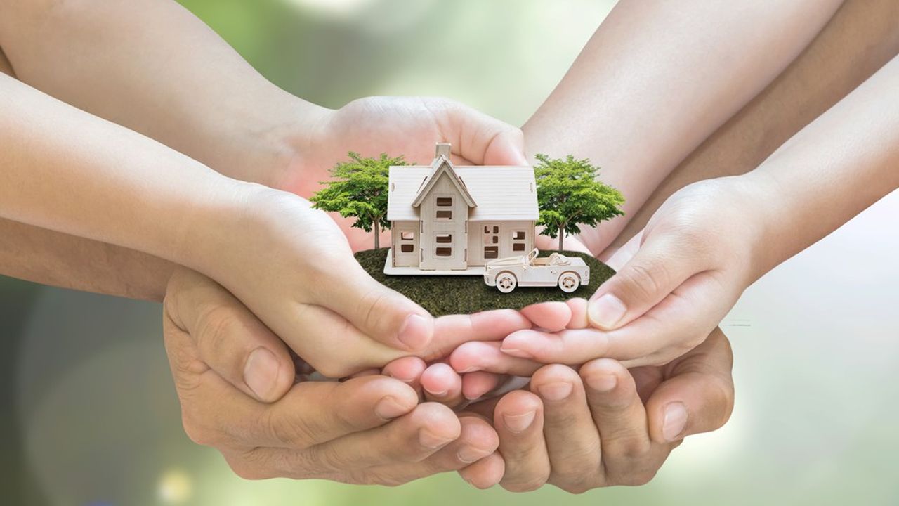 Bleu Patrimoine - Nicolas Bolon