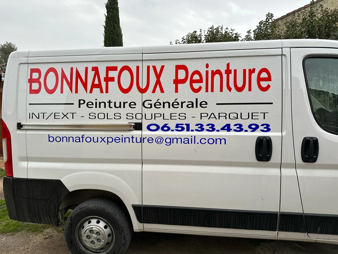 Laurent Bonnafoux Peinture