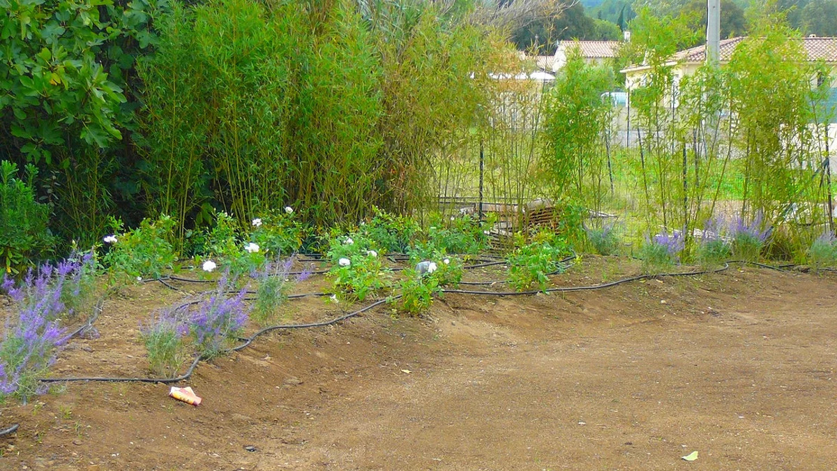 PROVENCE JARDINS - ALAIN STURACCI