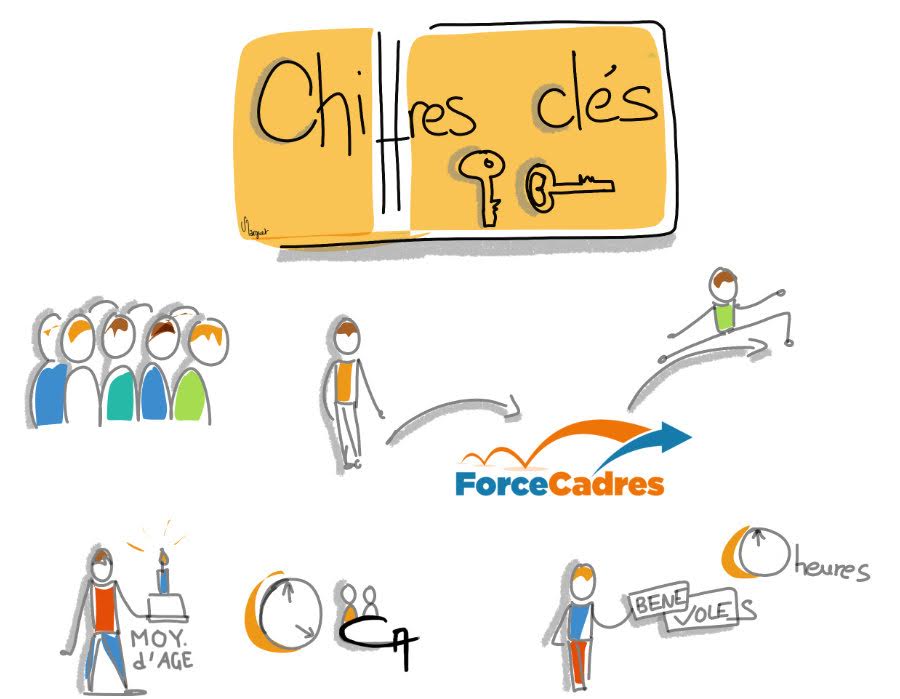 Force Cadres