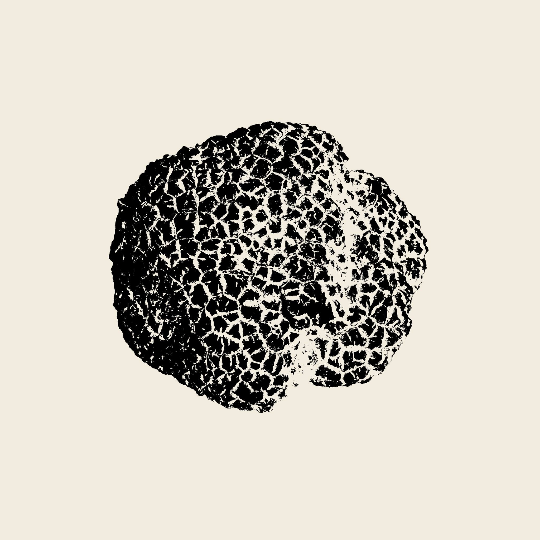 Maison de la Truffe et du Vin du Luberon