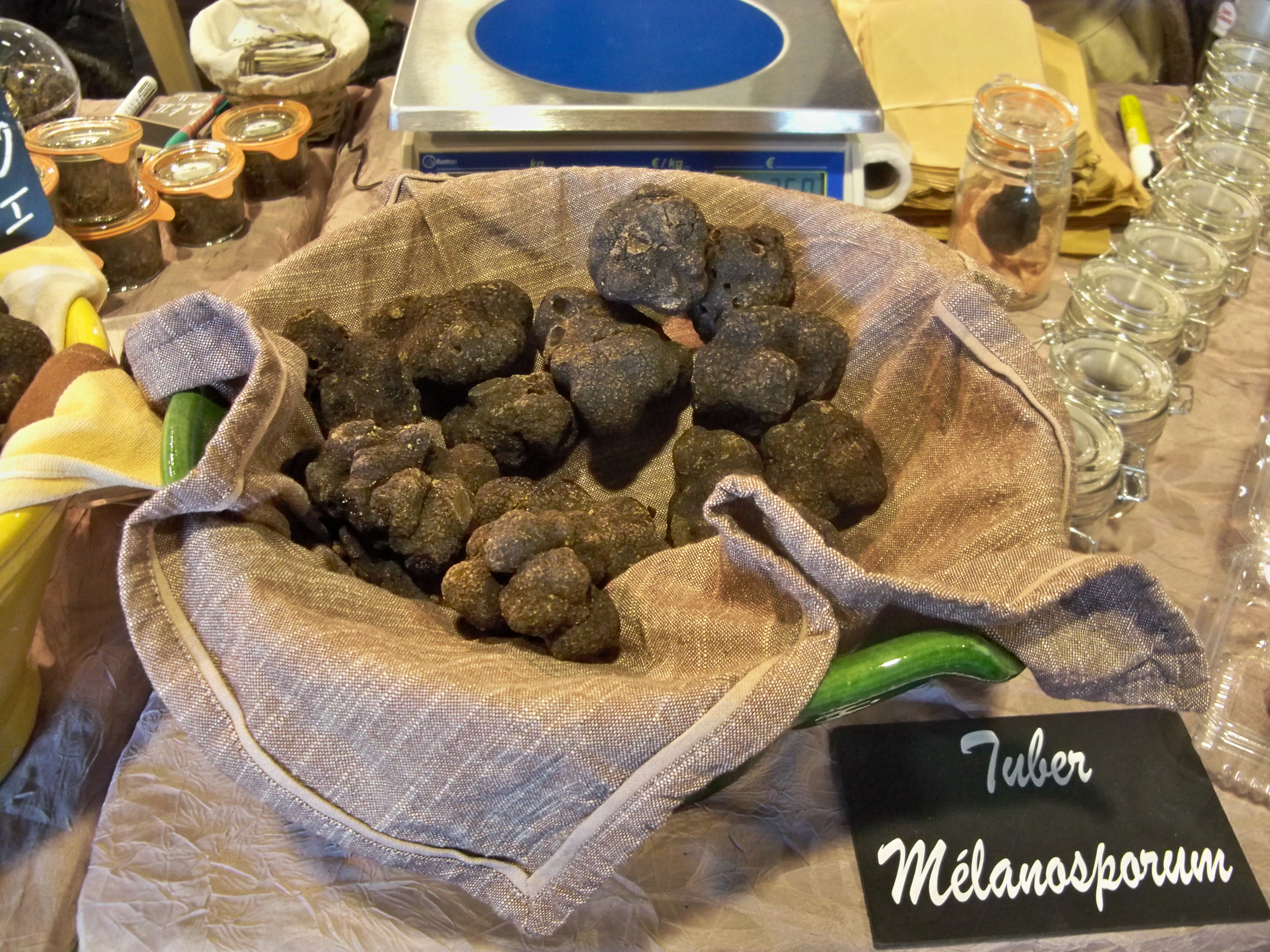 Maison de la Truffe et du Vin du Luberon
