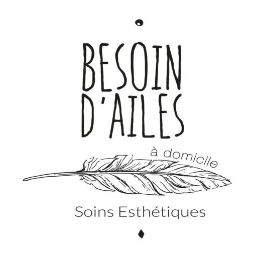 BESOIN D'AILES