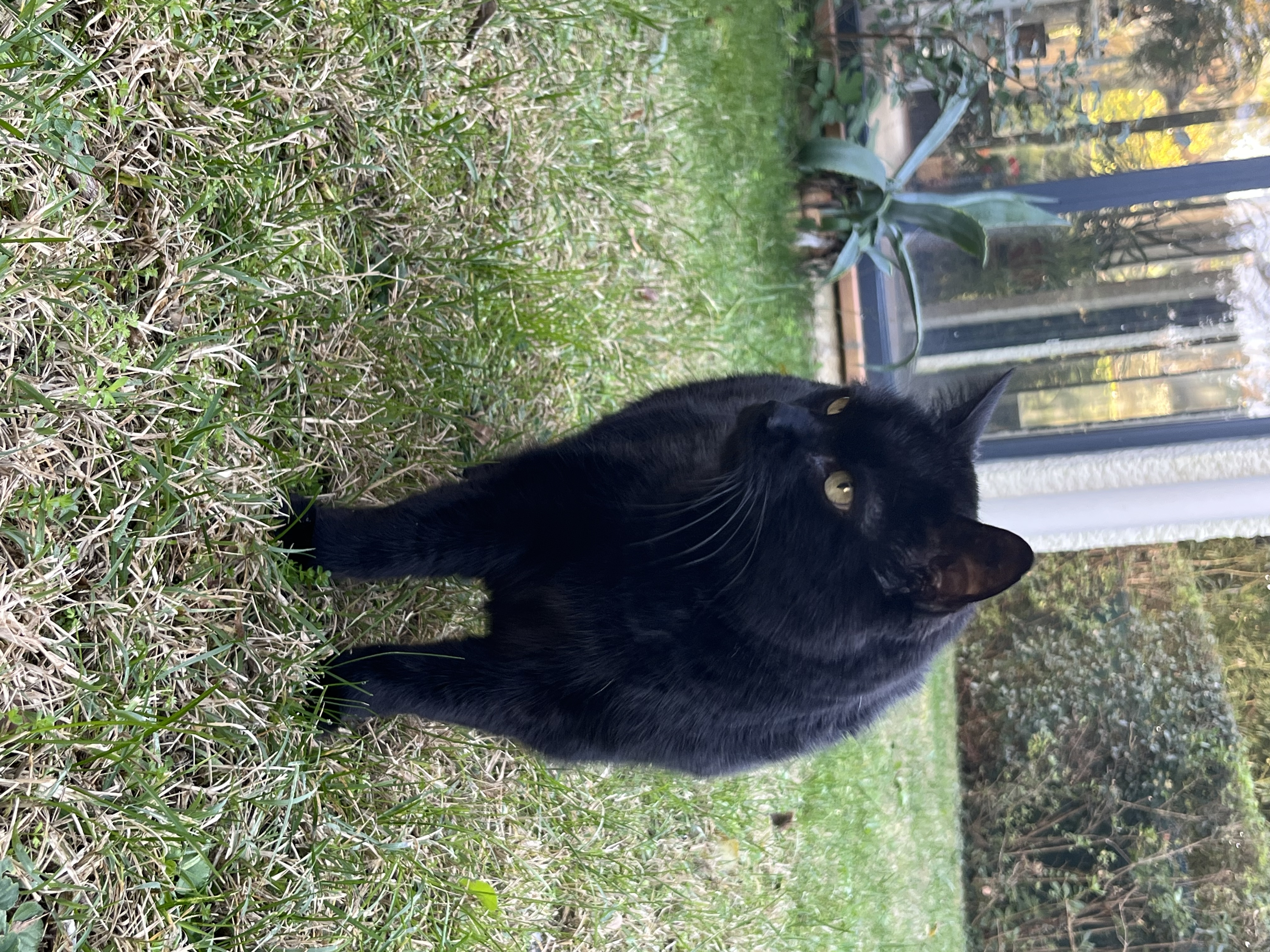 MarySit Garde à Domicile