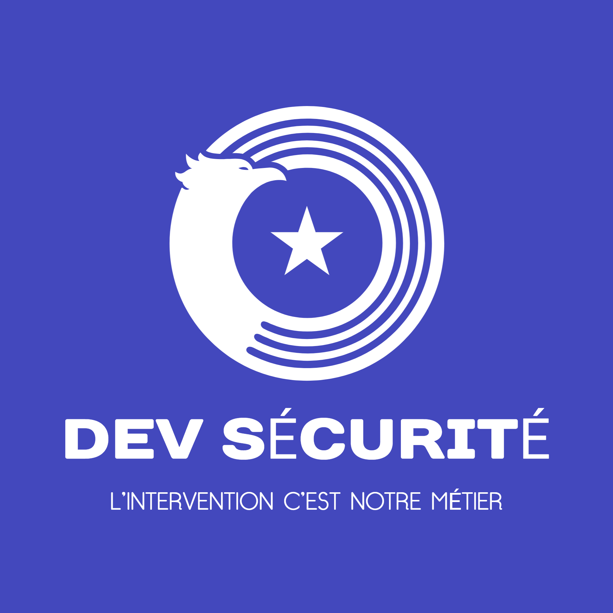 DEV SECURITE