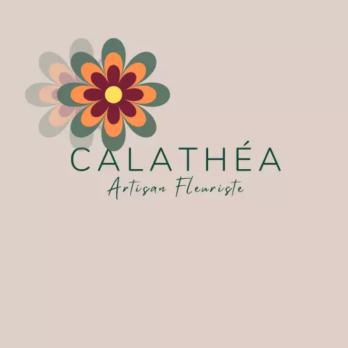 Calathéa Fleurs et Décorations