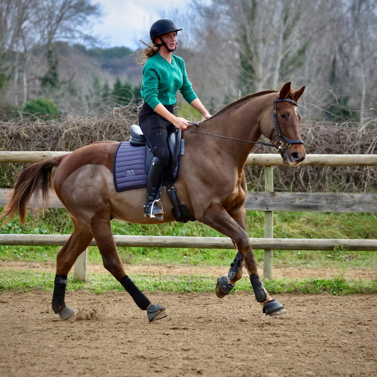 Haras d’Hiram