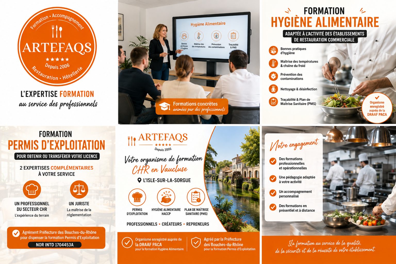 ArteFAQs
