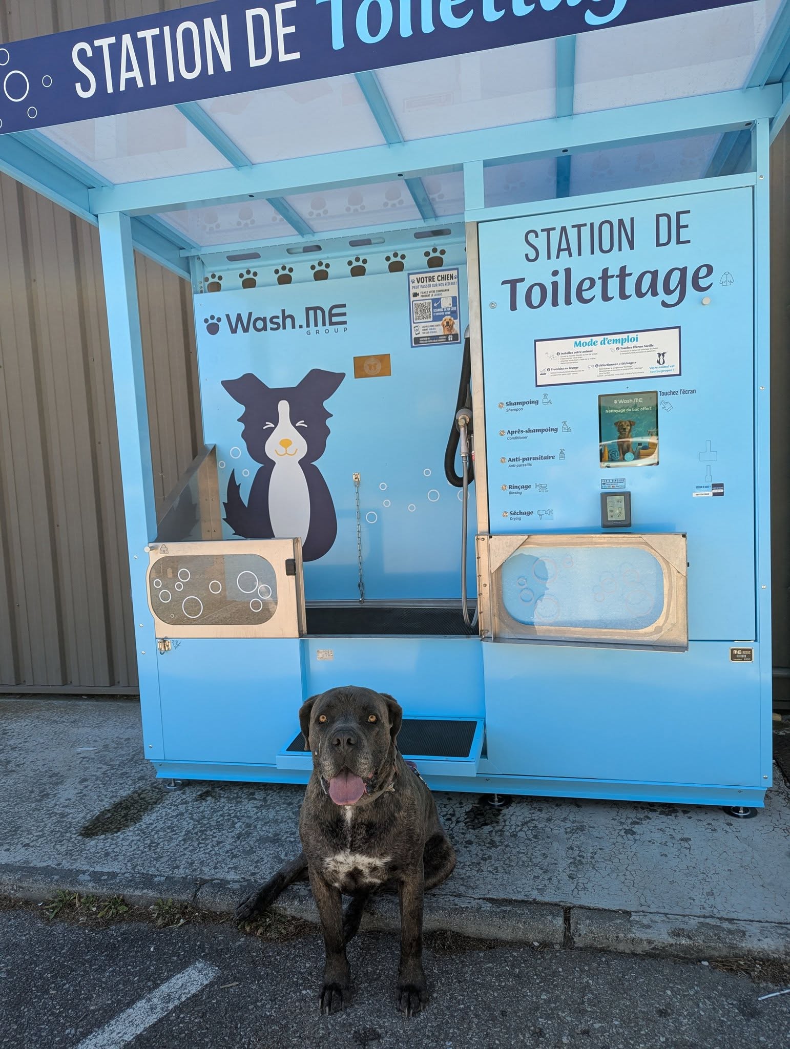 L A dogwash 84 - Station de lavage chien en libre service