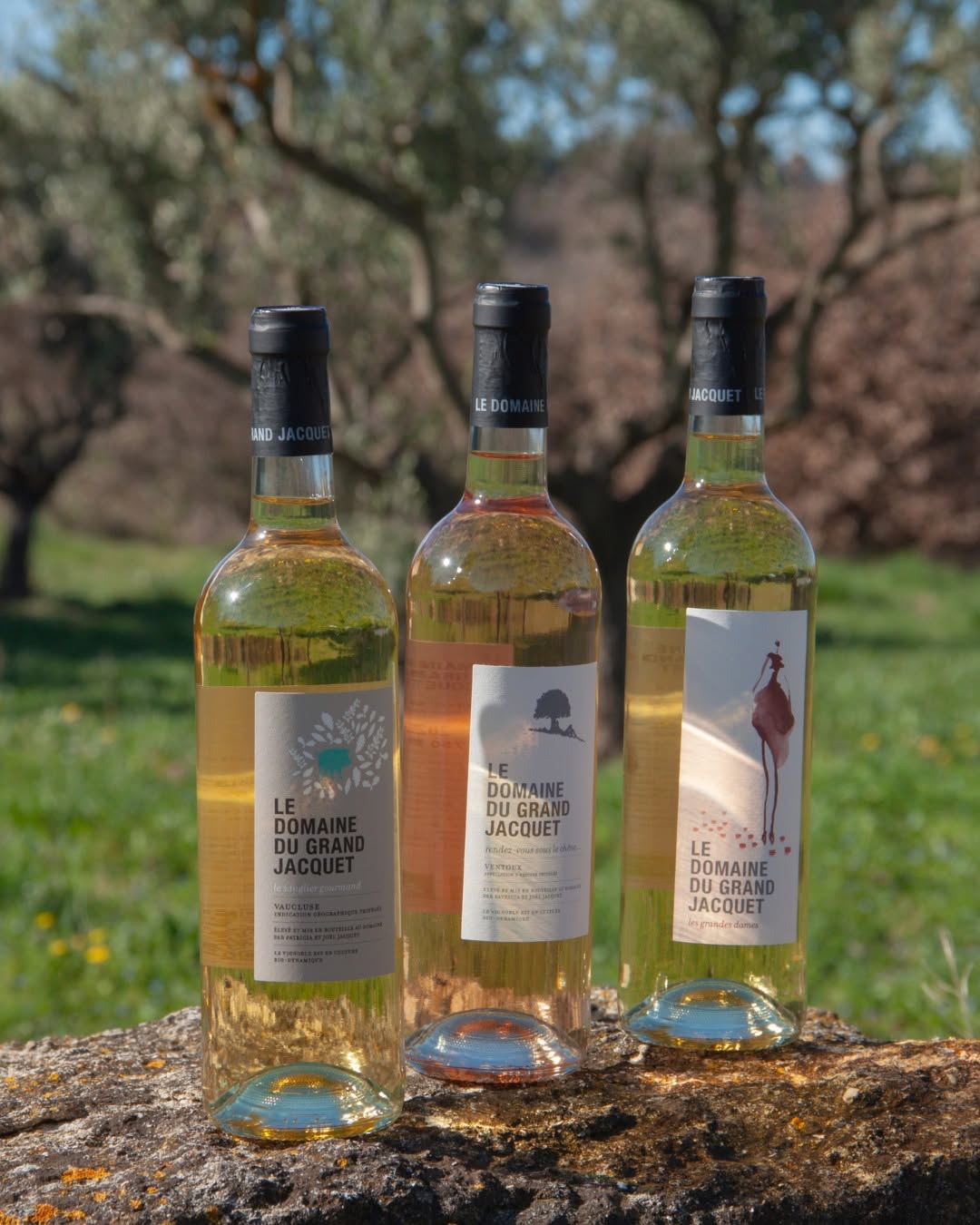 Domaine du grand Jacquet