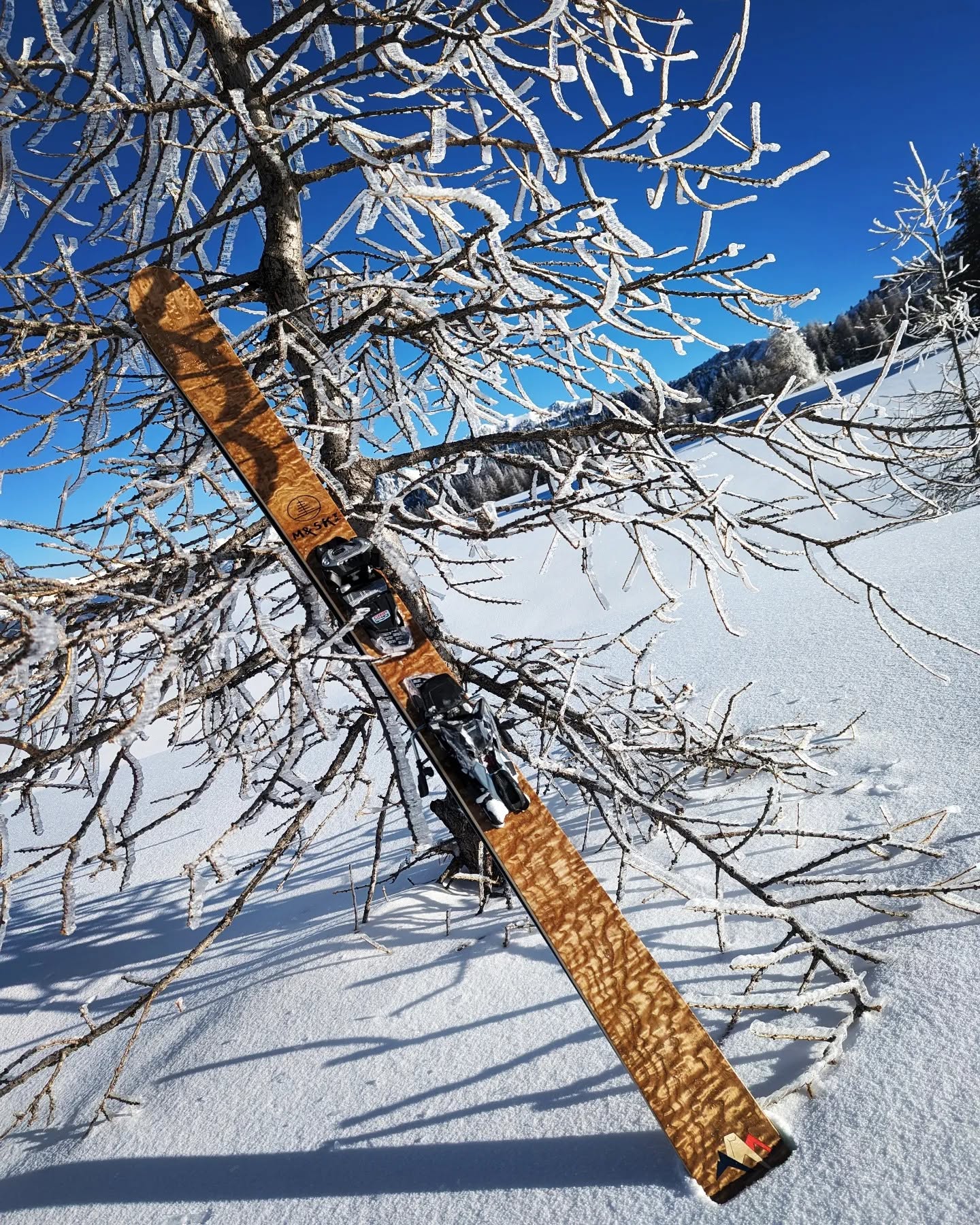 M&SKI