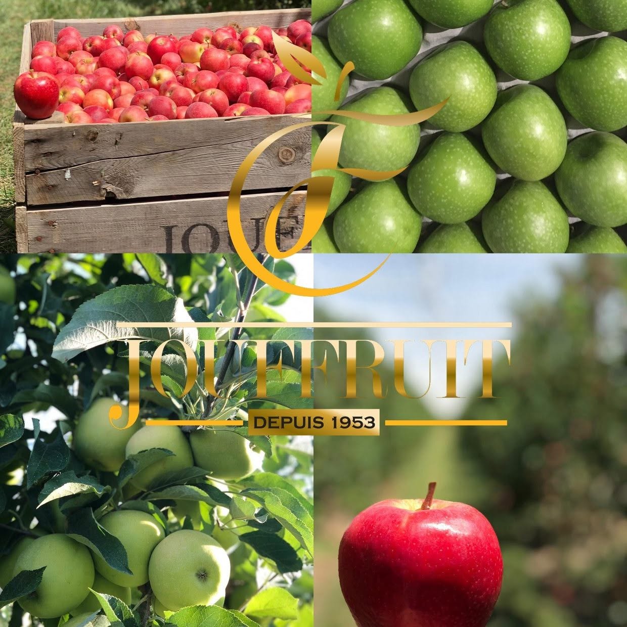 Jouffruit